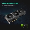 Вид 10